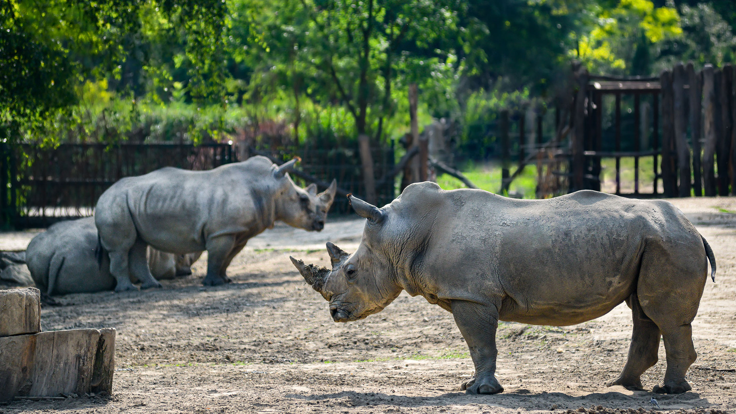 zoo-zlin